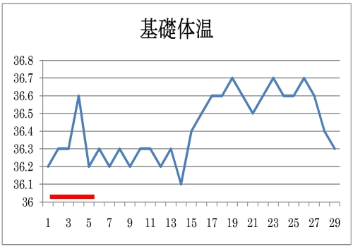 基礎体温5