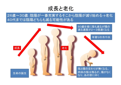 成長と老化-2-1